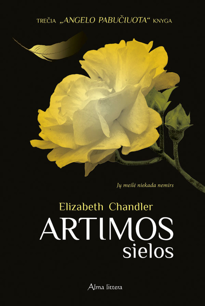 Artimos sielos