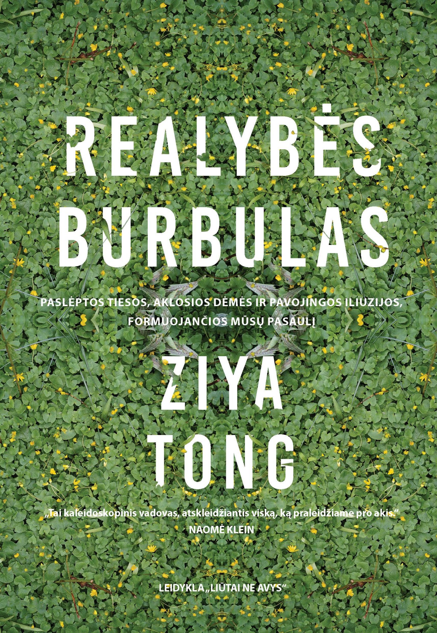 Realybės Burbulas