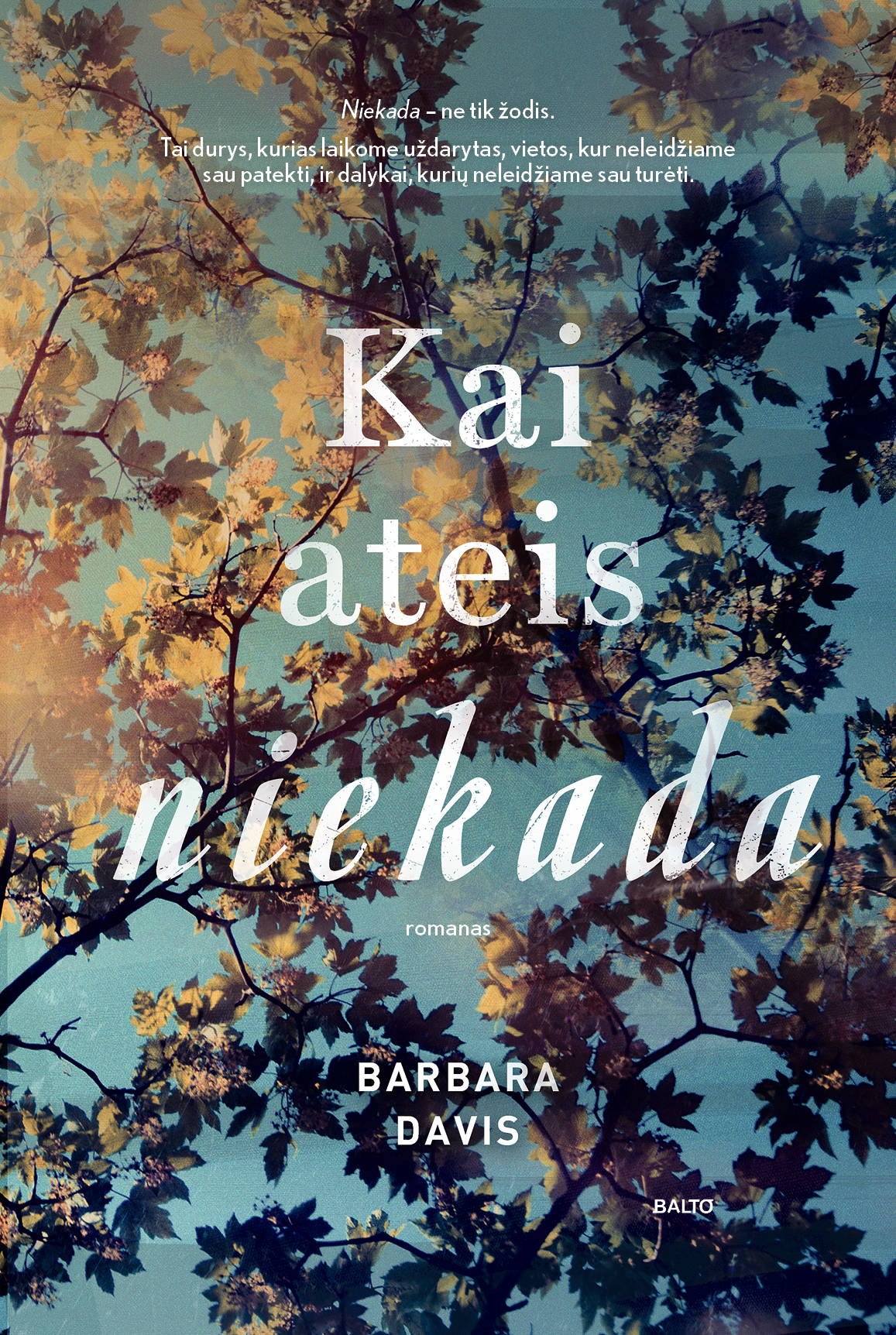 Barbara Davis "KAI ATEIS NIEKADA "