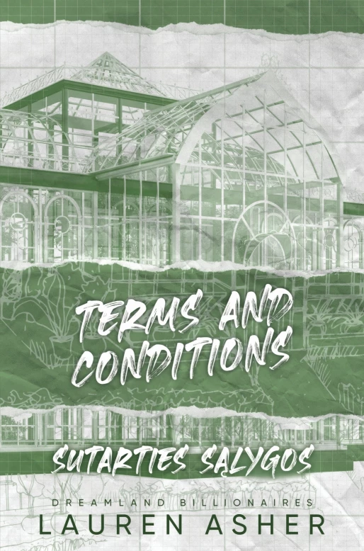 Terms and Conditions. Sutarties sąlygos.