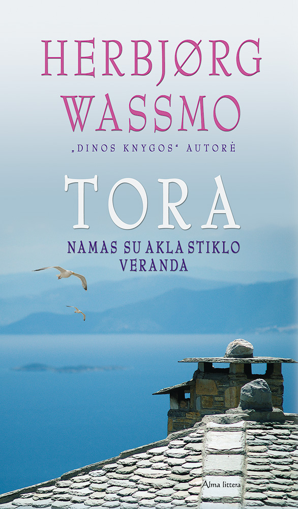 Namas su akla stiklo veranda