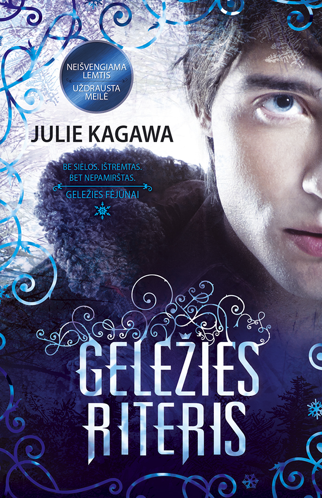 Geležies riteris