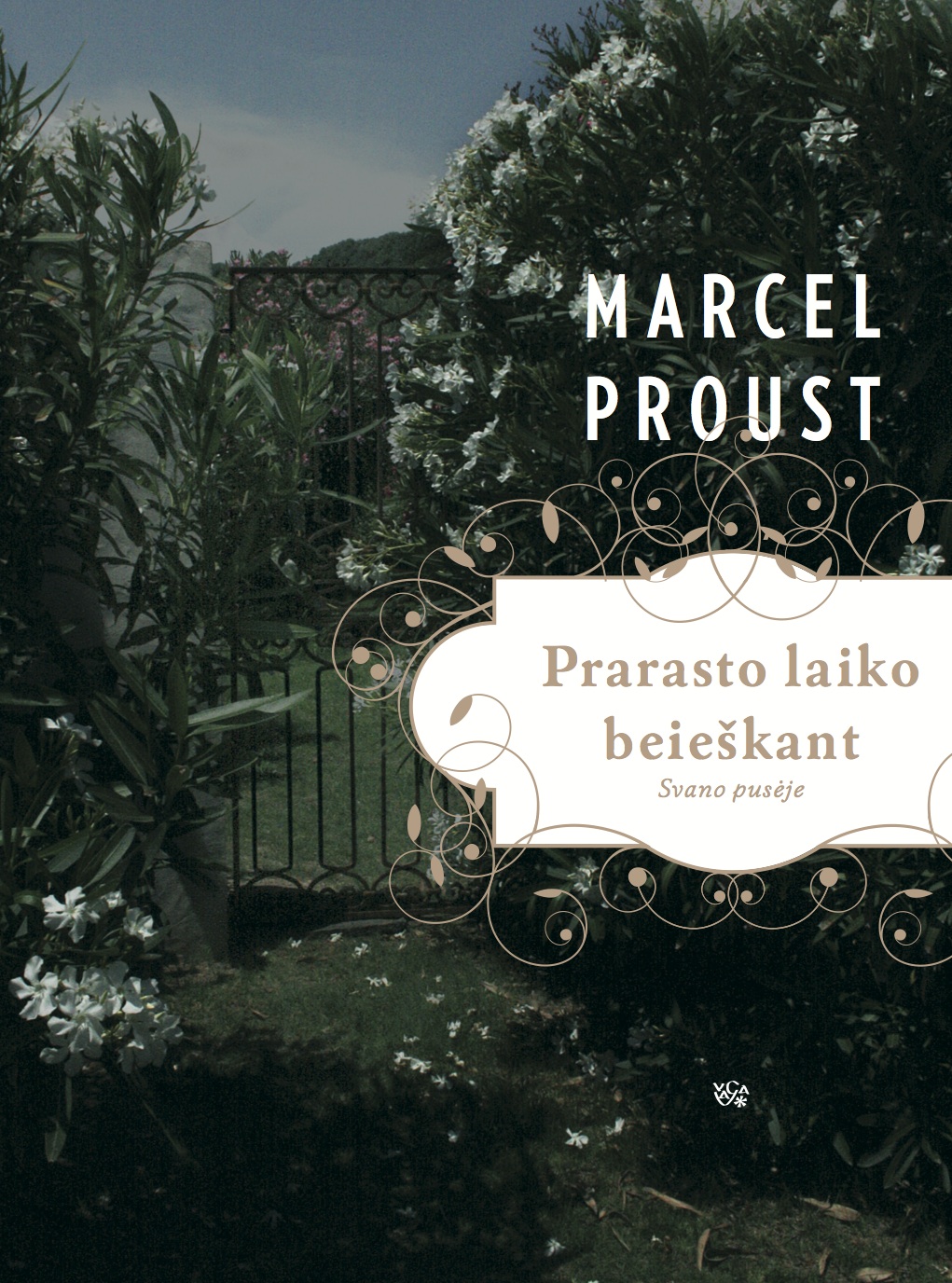Svano pusėje