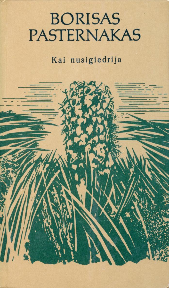 Kai nusigiedrija