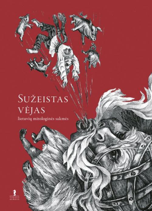 Sužeistas vėjas
