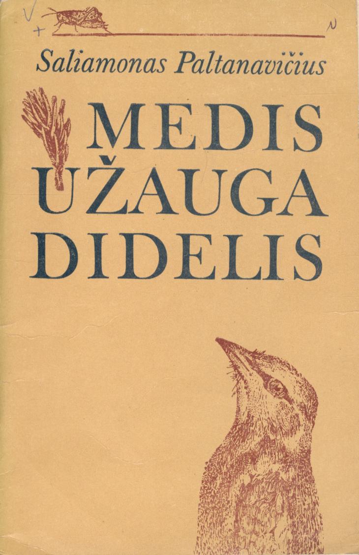 Medis užauga didelis