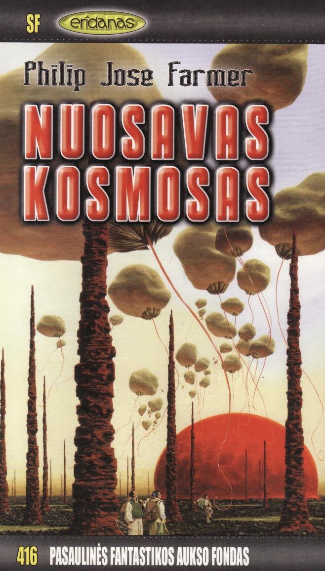 Nuosavas kosmosas