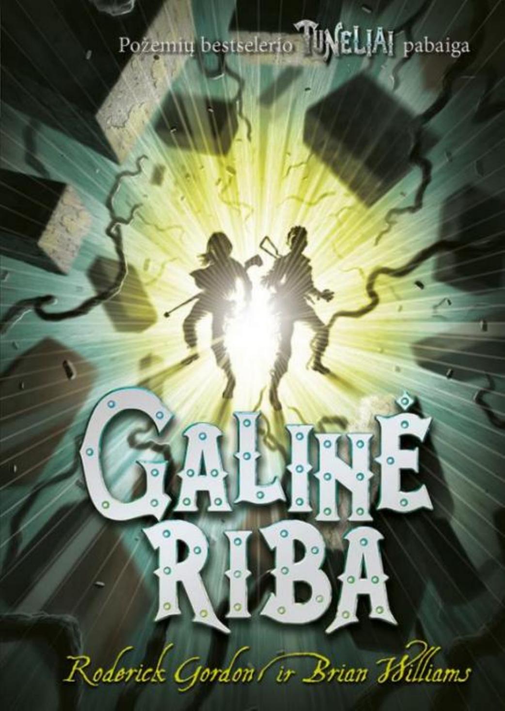 Galinė riba