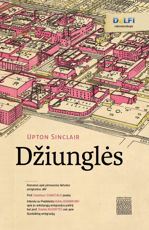 Džiunglės