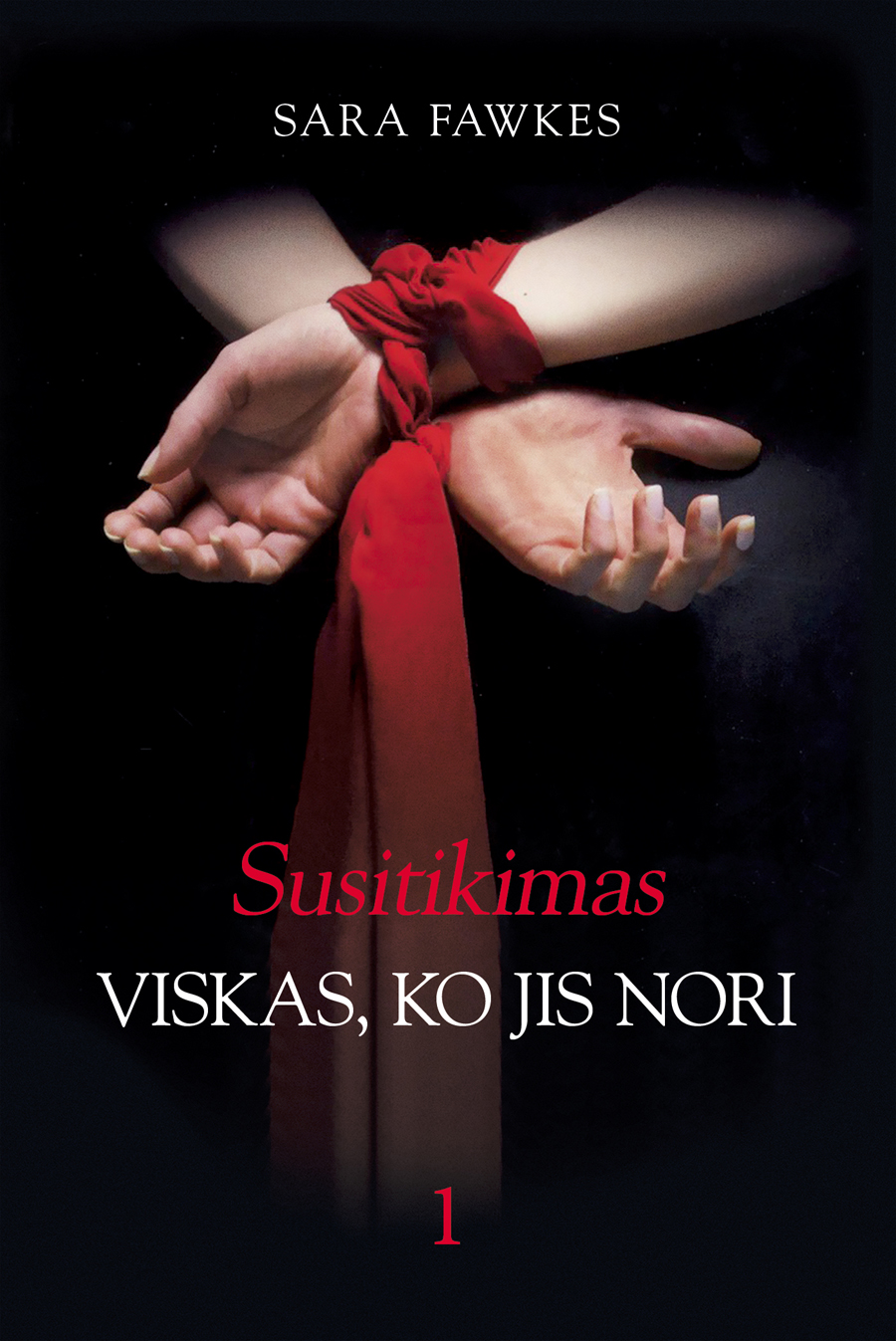 Viskas, ko jis nori. 1 dalis. Susitikimas
