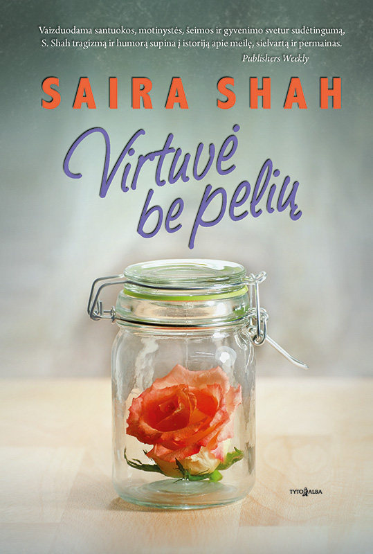 Virtuvė be pelių