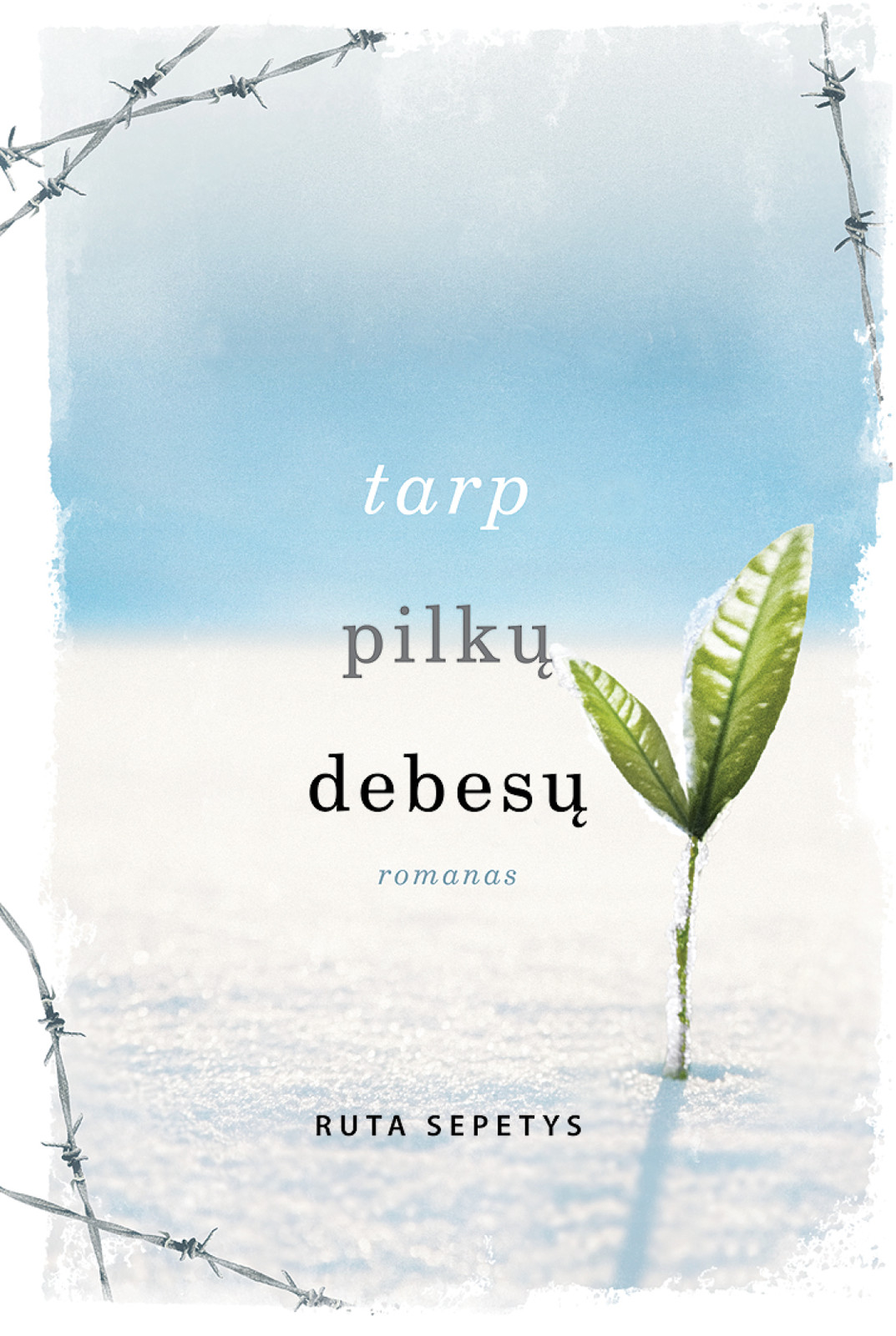 Tarp pilkų debesų