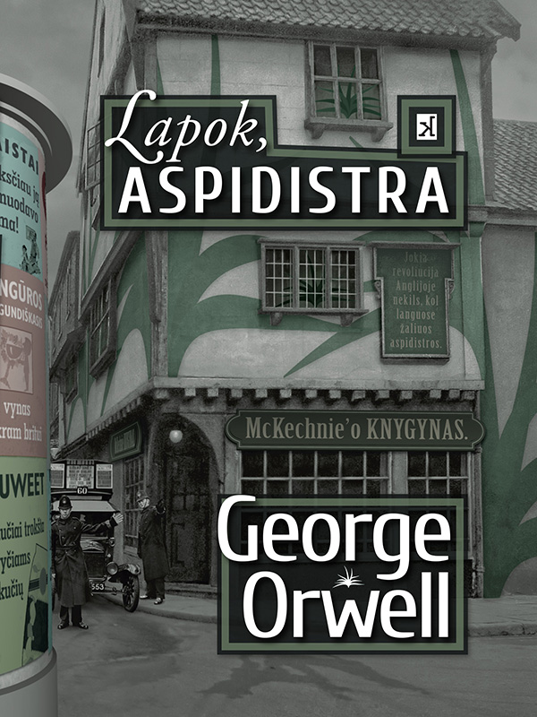 Lapok, aspidistra
