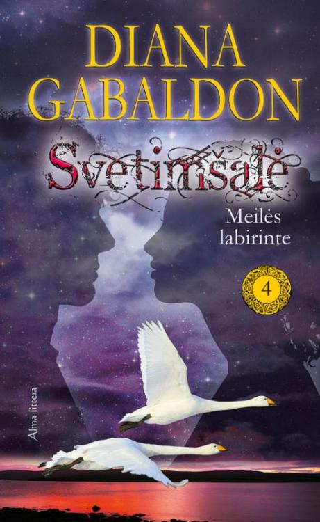 Meilės labirinte (4)