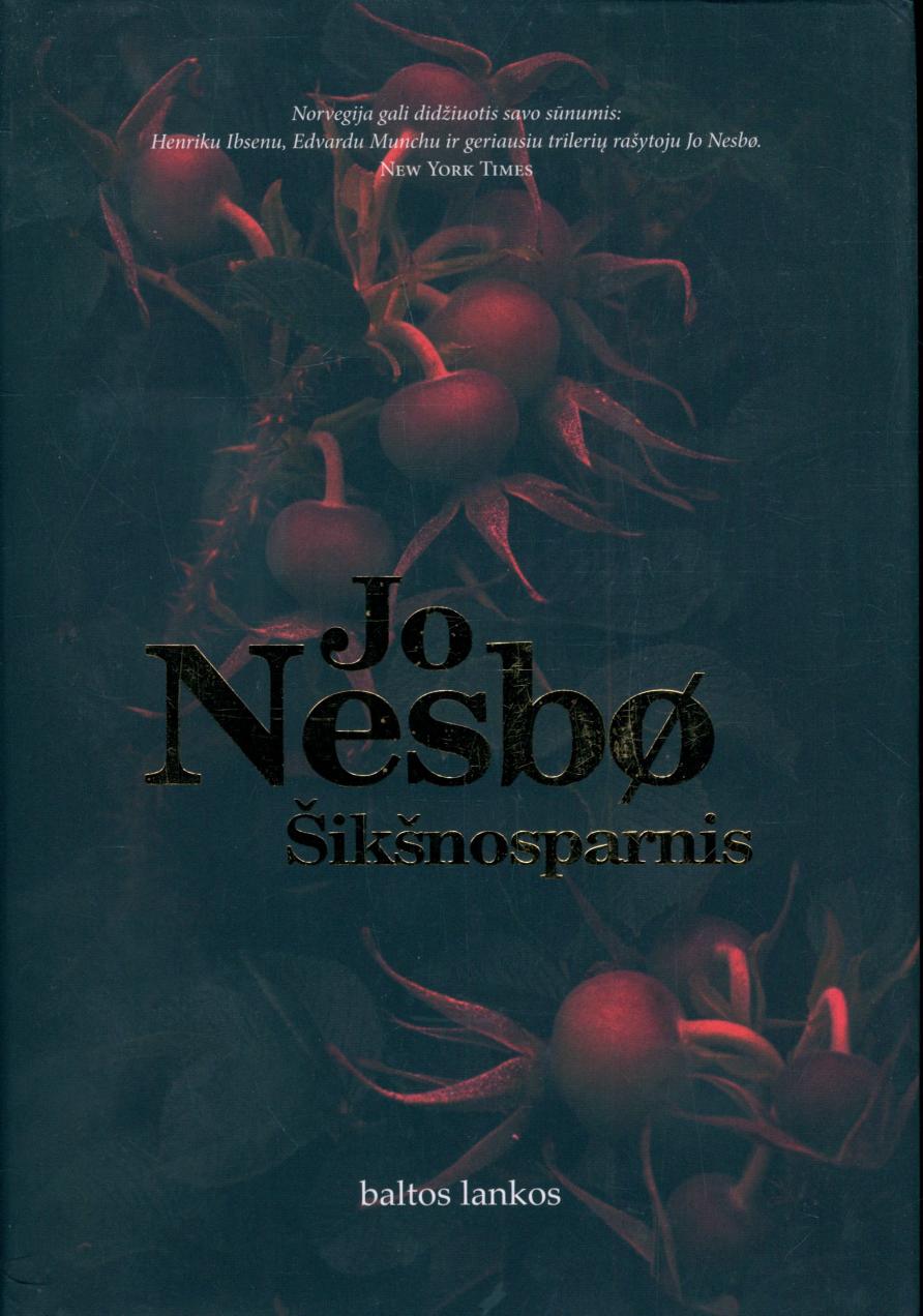 Šikšnosparnis