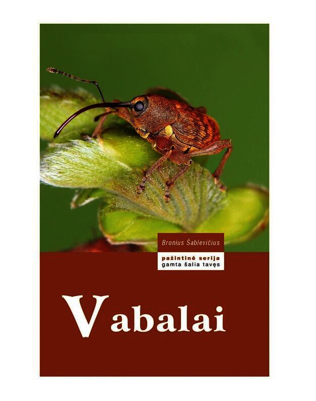 Vabalai