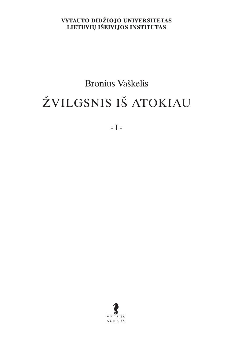 Žvilgsnis iš atokiau