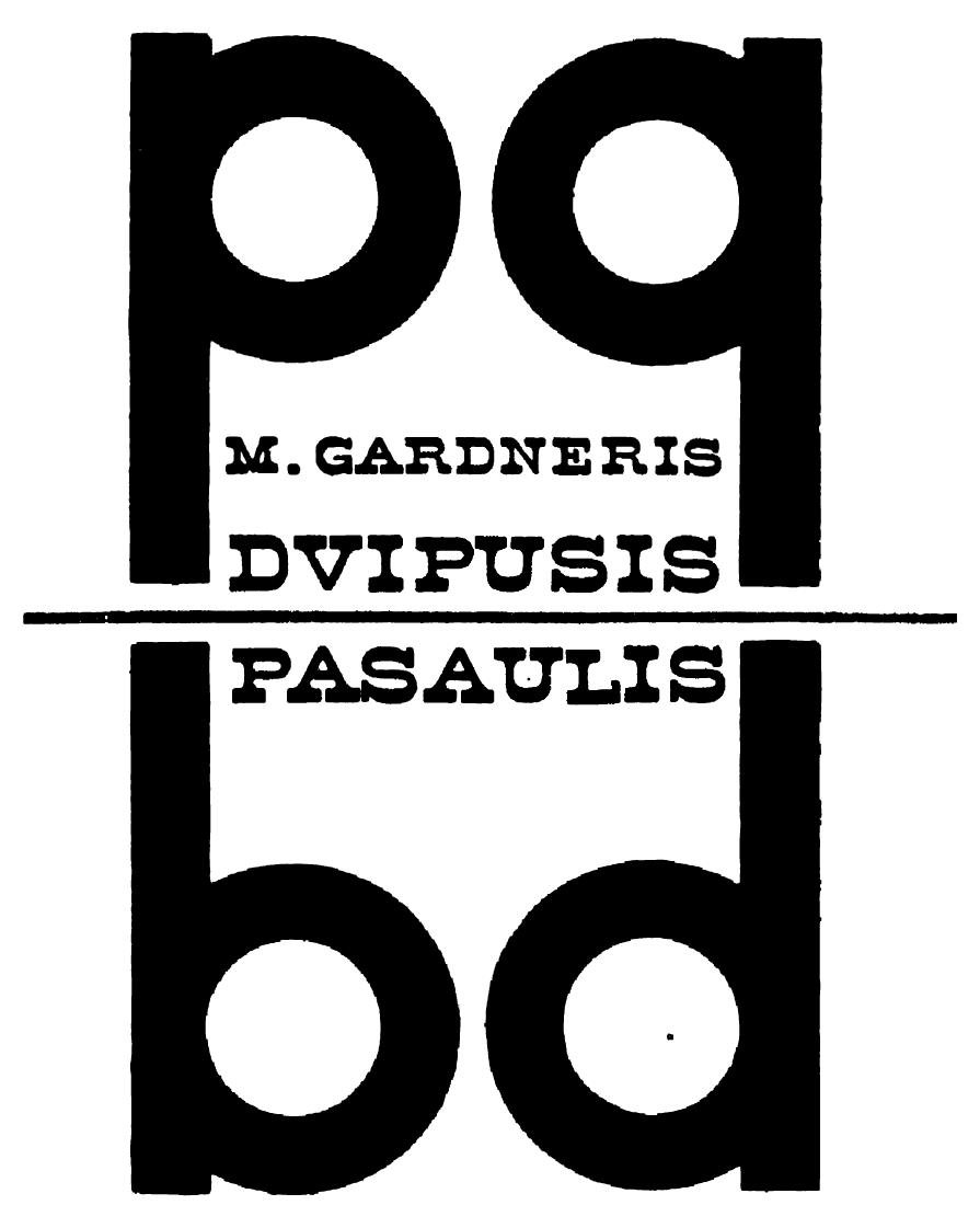 Dvipusis pasaulis