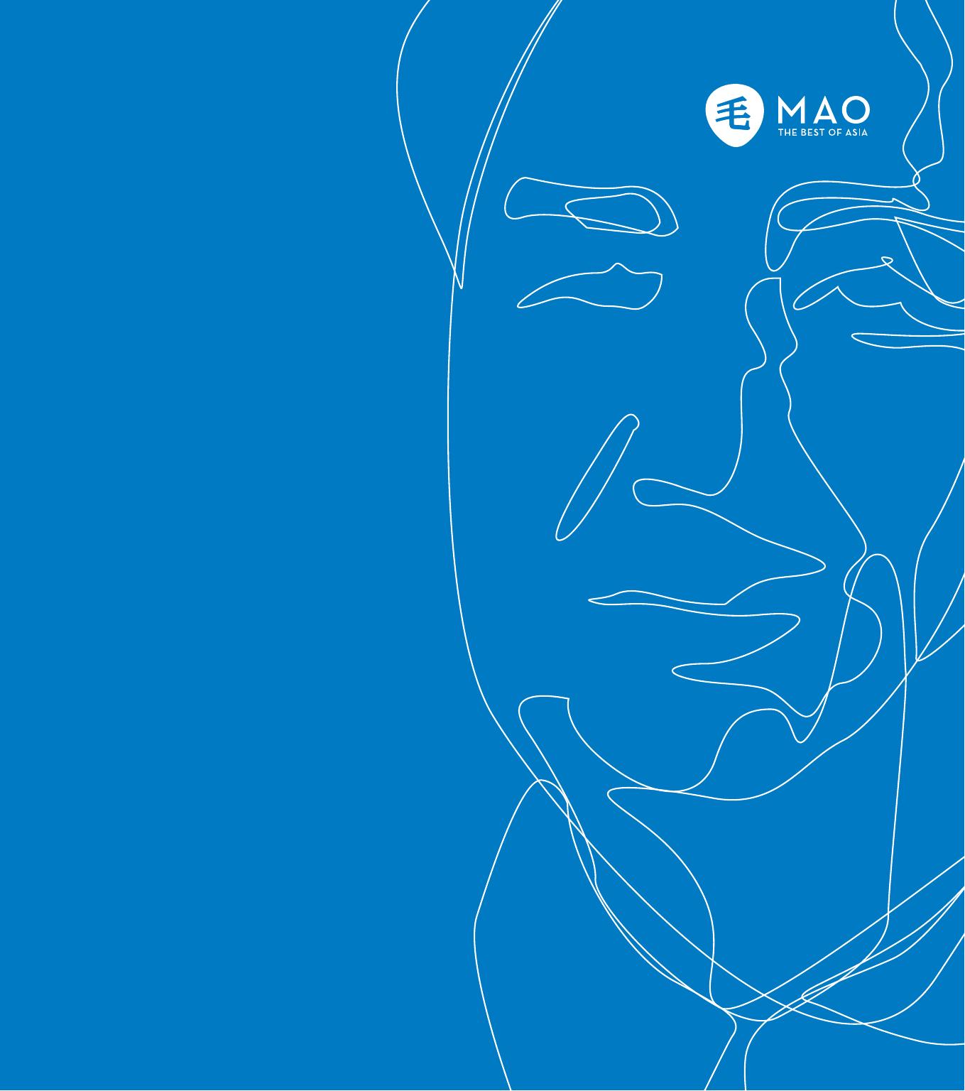mao meniu INTERNET