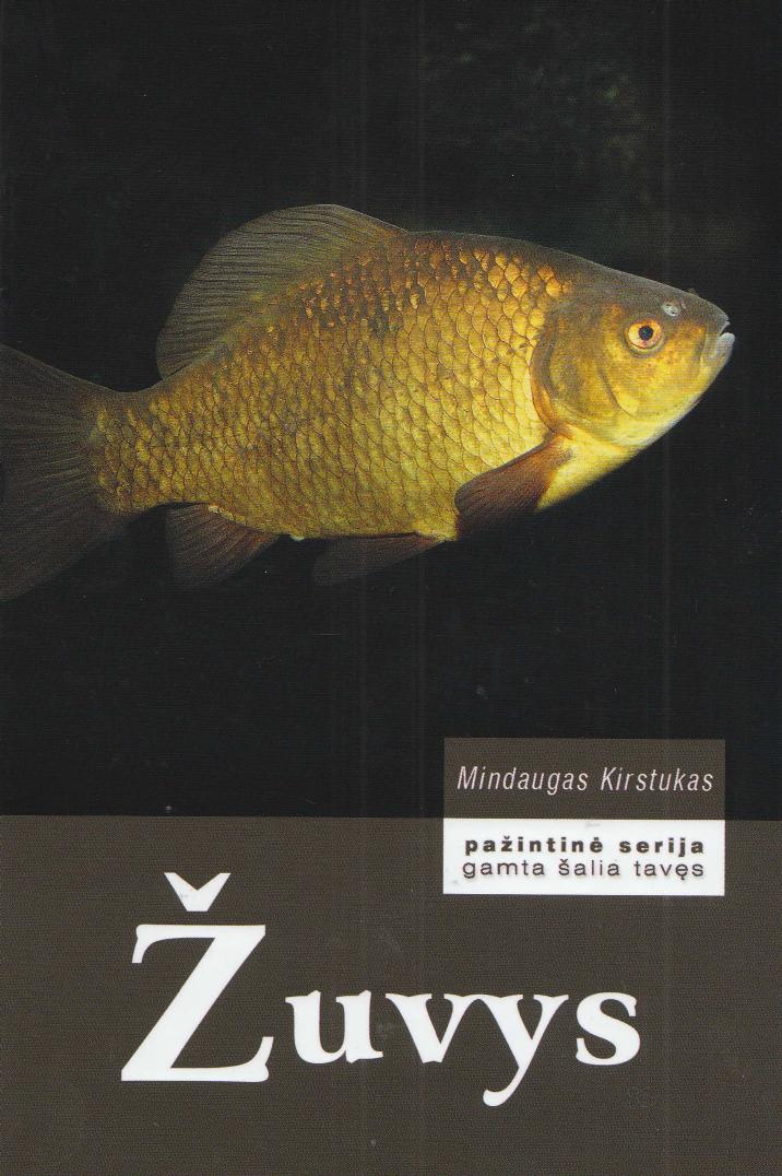 Mindaugas Kirstukas - Žuvys (2010 LT)