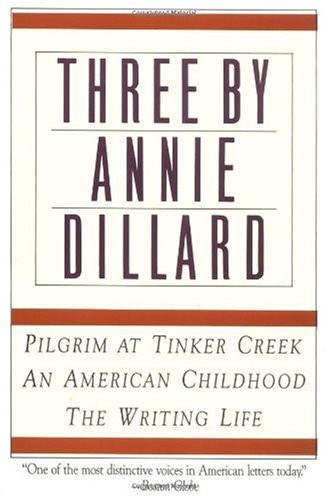 An American Childhood