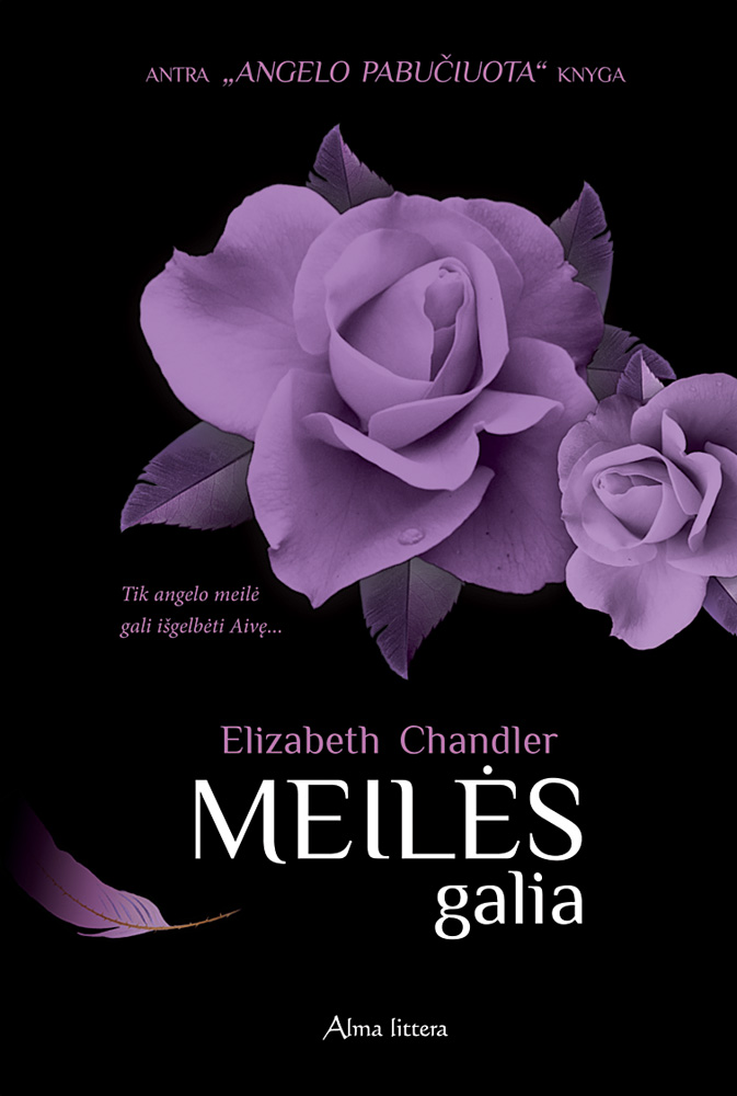Meilės galia