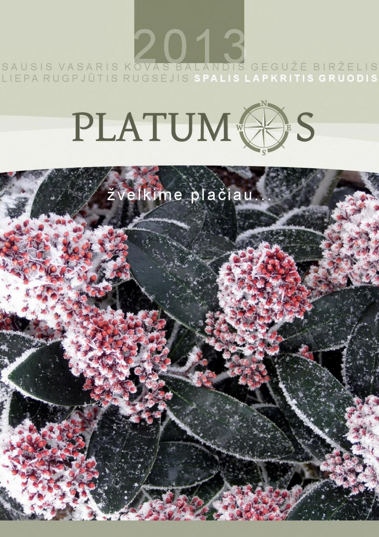 Platumos.002.2013.LT