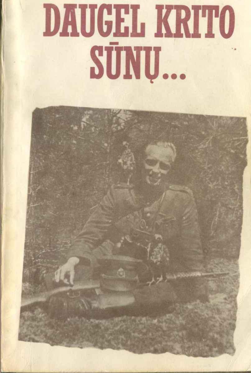 Daugel krito sūnų. . .
